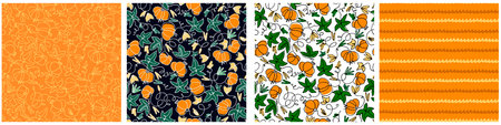Seamless patterns set with pumpkins on white background