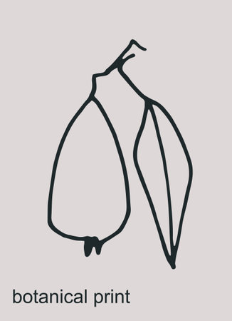 Vector graphic with pear. Decor printable art. Perfect for prints, posters, logos, branding, social mediaのイラスト素材