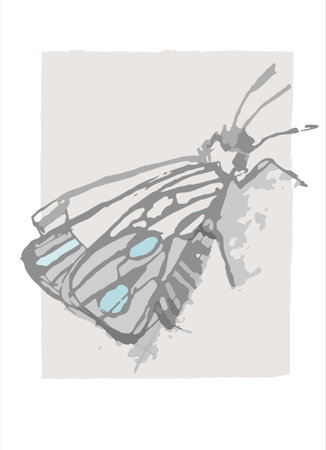 Vector graphic with with fantasy moths, butterflies pencil drawing sketch. Decor printable artのイラスト素材