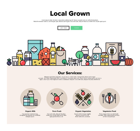 One page web design template with thin line icons of local farm grown vegetables, natural organic food, eco friendly seasonal products. Flat design graphic hero image concept, website elements layout.のイラスト素材