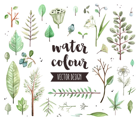 Premium quality watercolor icons set of various plant leaves, wild trees branch. realistic decoration with text lettering. Flat lay watercolour objects isolated on white background.のイラスト素材