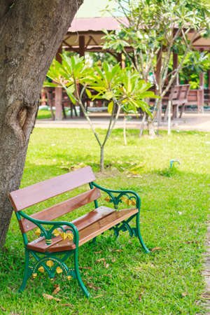 The single chair on templeの写真素材