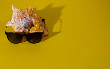 Stylish Sunglasses and Seashell on Bright Yellow Background. Summer Style Poster.の写真素材