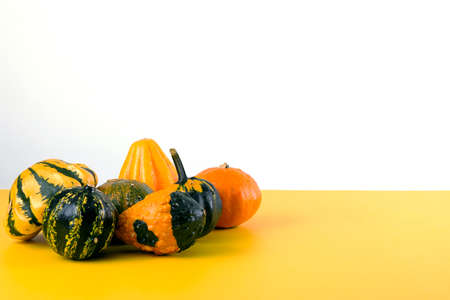 Decorative Pumpkins on Bright Yellow Background..の写真素材