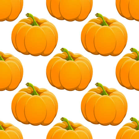 Pumpkin seamless pattern on white. vector illustration.のイラスト素材