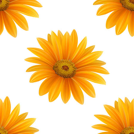 Hand drawn vector realistic seamless pattern of Gerbera Daisy flowerのイラスト素材