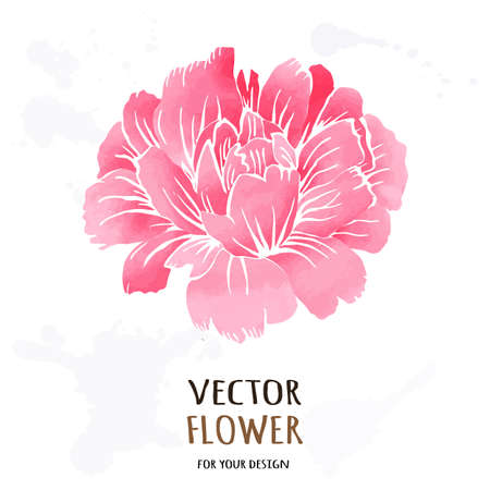Hand drawn vector realistic illustration of dahlia flowerのイラスト素材
