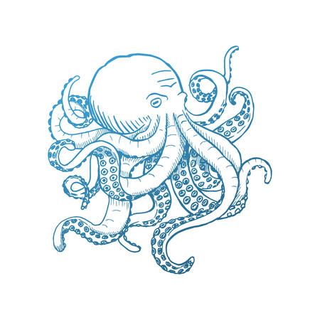 Octopus. Vector vintage illustrations. Isolated on white background.のイラスト素材