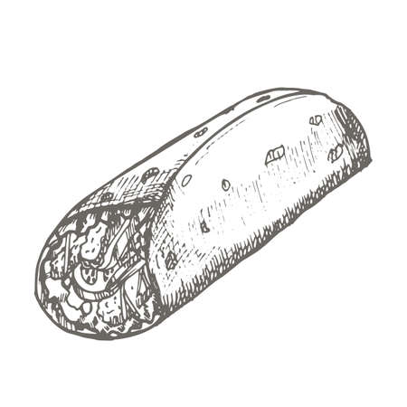 Vector vintage burrito drawing. Hand drawn monochrome fast food illustration.のイラスト素材
