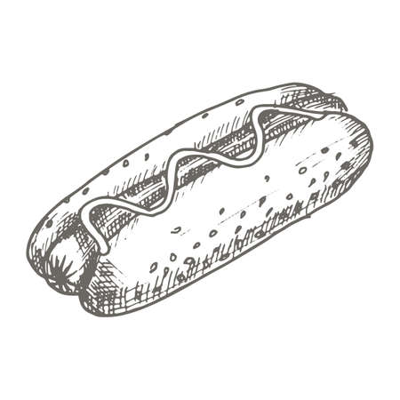 Vector vintage hot dog drawing. Hand drawn monochrome fast food illustration.のイラスト素材