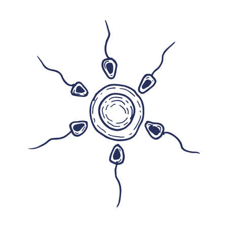 sperm and egg cell hand drawingのイラスト素材
