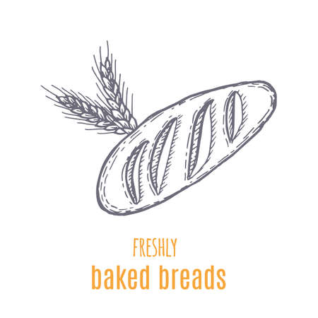 Hand drawn decorative fresh bread bakery vector Illustration.のイラスト素材