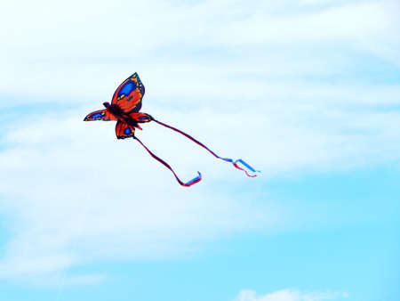 Kites at the Beach - Ocean City, MDの写真素材