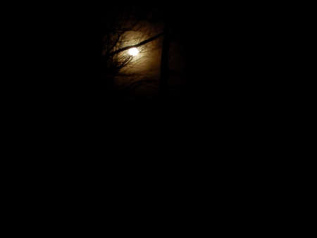 Eerie Wooded Moon Iの写真素材