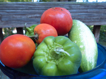 Fresh Garden Veggie Bowlの写真素材