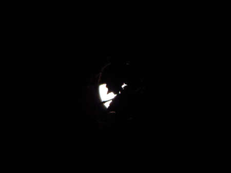 The Moon Withinの写真素材