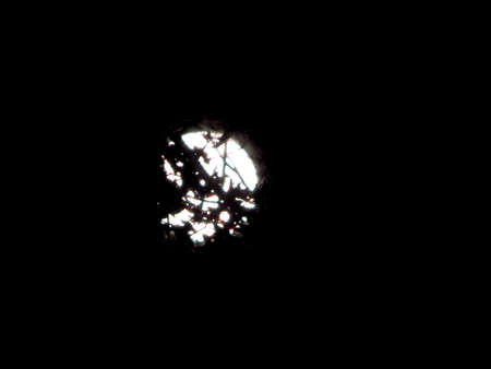 Backwoods Full Moon IIの写真素材
