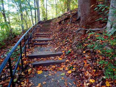 Beautiful Fall Foliaged Stairwayの写真素材