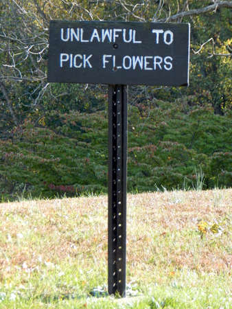 Don't Pick the Flowersの写真素材