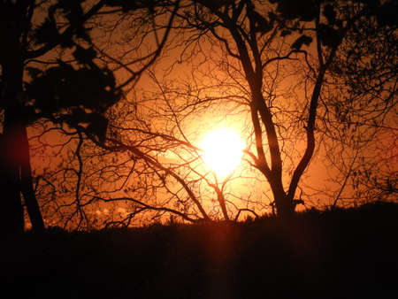 Springtime Sunsetの写真素材