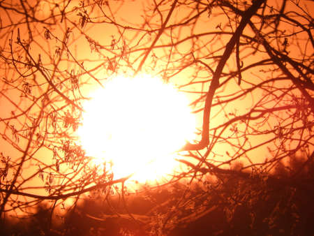 Close-Up Sunsetの写真素材