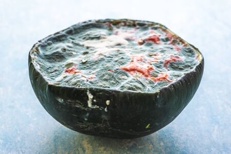 A rotten half cut watermelon shot at certain angleの写真素材