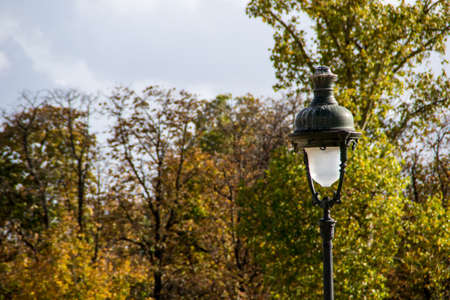 A light in the gardenの写真素材