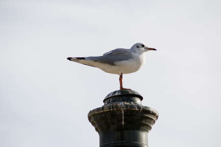 An observer from aboveの写真素材