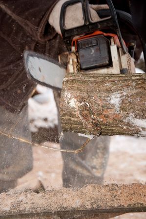 hard-noseの写真素材