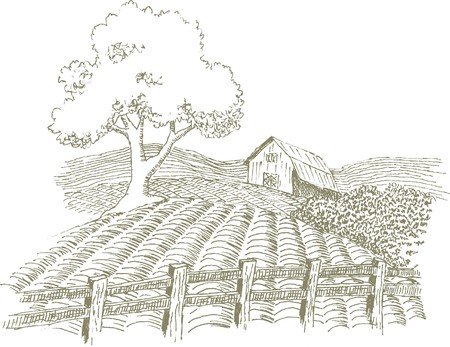 Pen and ink style illustration of a farm scene.のイラスト素材