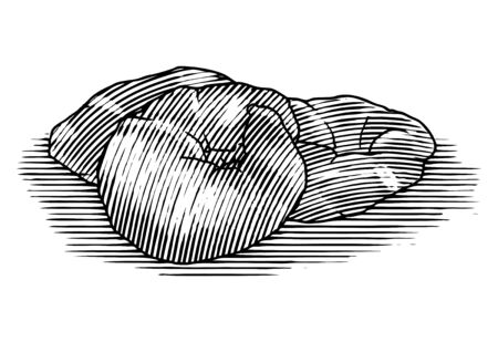 Woodcut illustration of a Croissant isolated on white.のイラスト素材