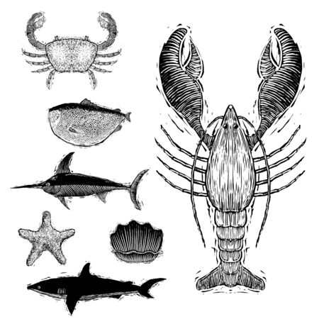 Woodcut-style illustrations of several ocean fish and sea creatures.のイラスト素材