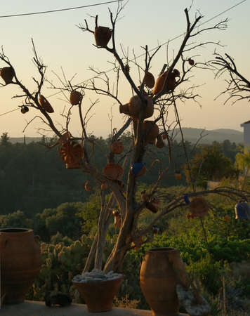 Margaritesの写真素材