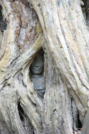 Devatasの写真素材