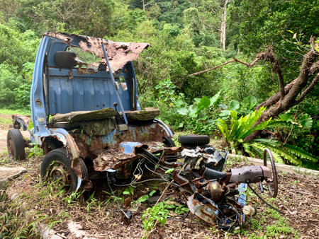 Demolished Vehicle Resting in Forest.の写真素材
