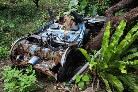 Demolished Vehicle Resting in Forest.の写真素材