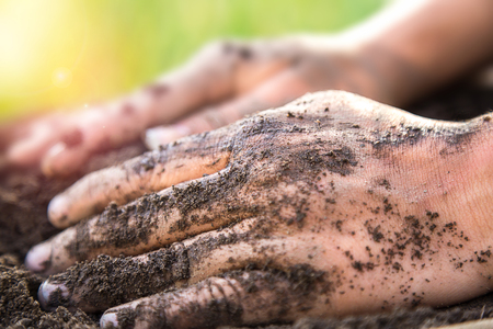Closeup of dirty hand holding wet soil used for spring planting in a gardenの写真素材