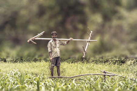 Happy Indian farmer standing with wooden plough in rice fieldの写真素材