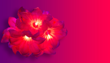 Diwali lightsの写真素材