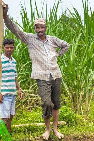 Indian Farmer in Paddy Field. A paddy field is a flooded parcel of arable land used for growing rice.の写真素材