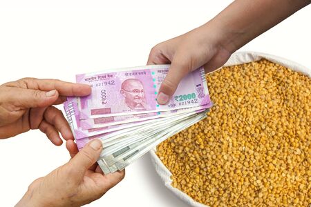Hand Giving Indian 500 and 2000 Rupee Bank Notes over bag, Burlap full of chickpeas, Yellow Chana Split Peas, Dried Chickpea Lentils or Toor Dalの写真素材