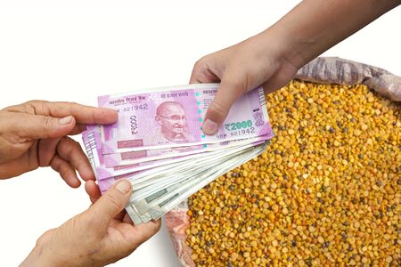 Hand Giving Indian 500 and 2000 Rupee Bank Notes over bag full of chickpeas, Yellow Chana Split Peas, Dried Chickpea Lentils or Toor Dal.の写真素材