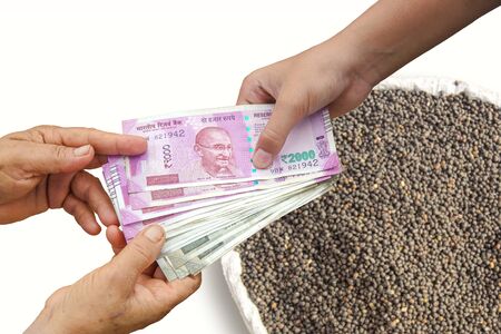 Hand Giving Indian 500 and 2000 Rupee Bank Notes over bag, Burlap full of Urad Dal Black Gram Vigna Mungo.の写真素材