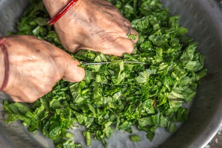 Woman hand cutting raw green vegetable on utencileの写真素材