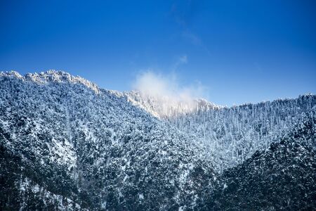 Snowy mountains and pine trees in Indiaの写真素材