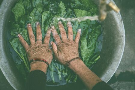 Women washing vegetable under tap water outside.の写真素材