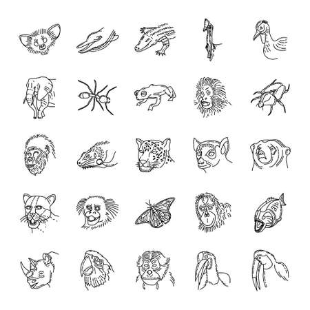 Tropical Animals Hand Drawn Icon Set Vector.のイラスト素材