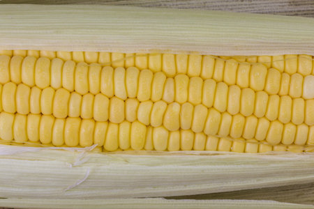 Fresh corn closeup