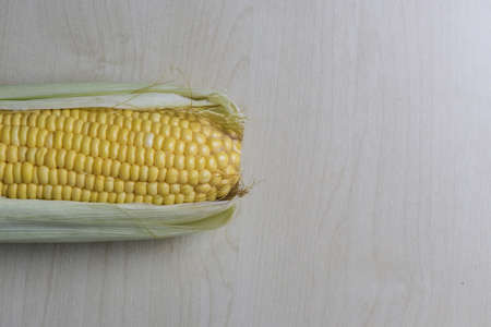 Fresh corn topviewの素材