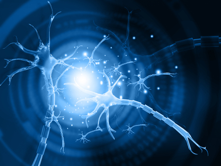 3d illustration of human neuronの写真素材